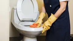 トイレを徹底的に掃除し、たった数ステップで完璧な清潔さを実現する方法。
