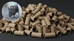 トイレブラシホルダーを使って家の中のネズミを駆除する方法:効果的な手作りトラップ