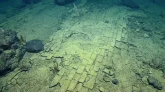 深海に広がる「黄色いレンガの道」は驚嘆を誘う――その説明を聞くと、一瞬、海底がまるで全く新しい世界であるかのような印象を抱かされる。